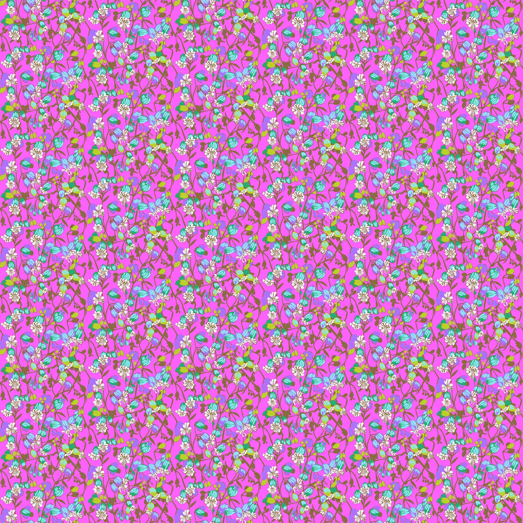 Silene Fuchsia