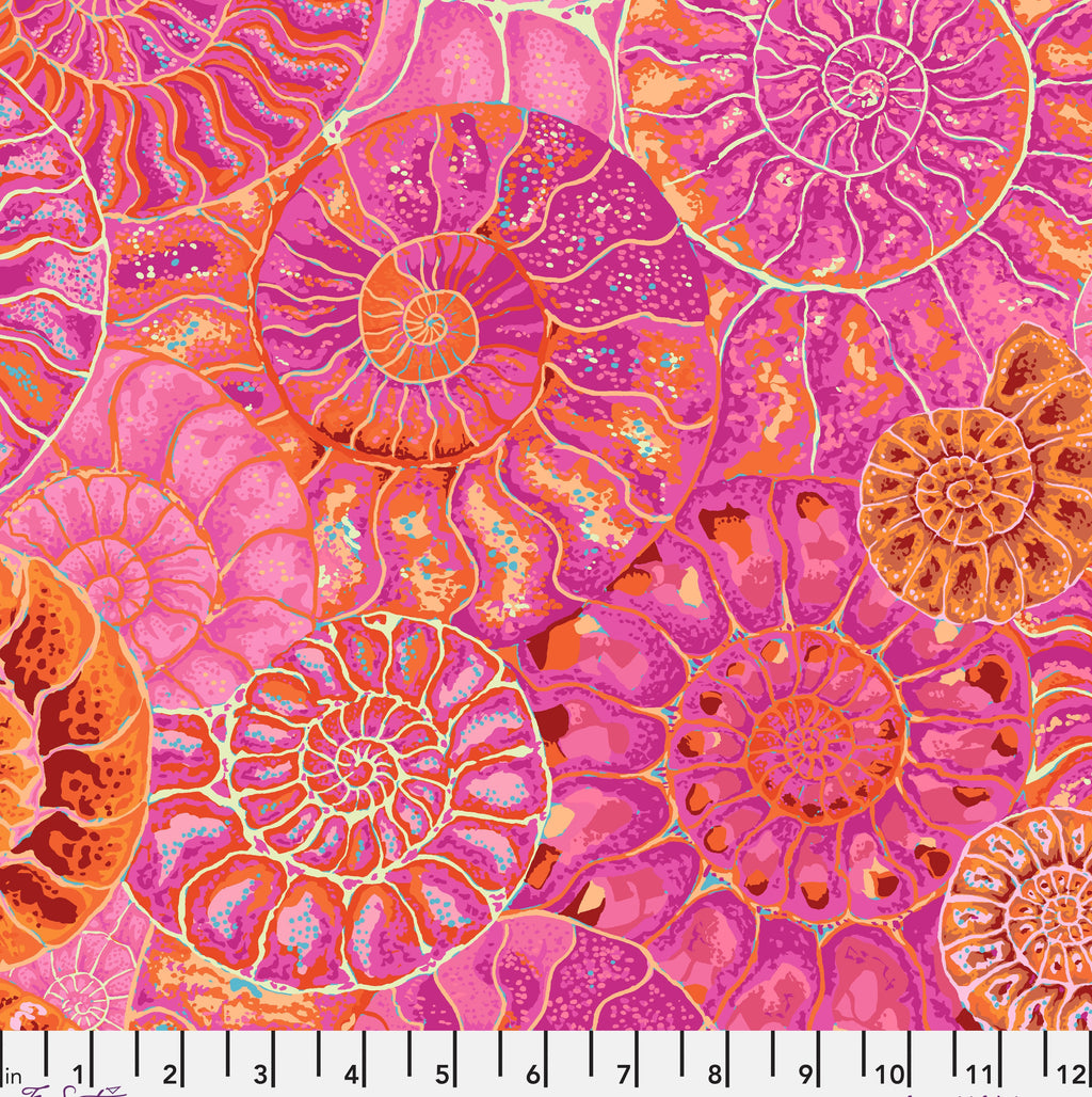 KFC Ammonites PINK PWPJ128 AUG 2024.Priced per 25cm*