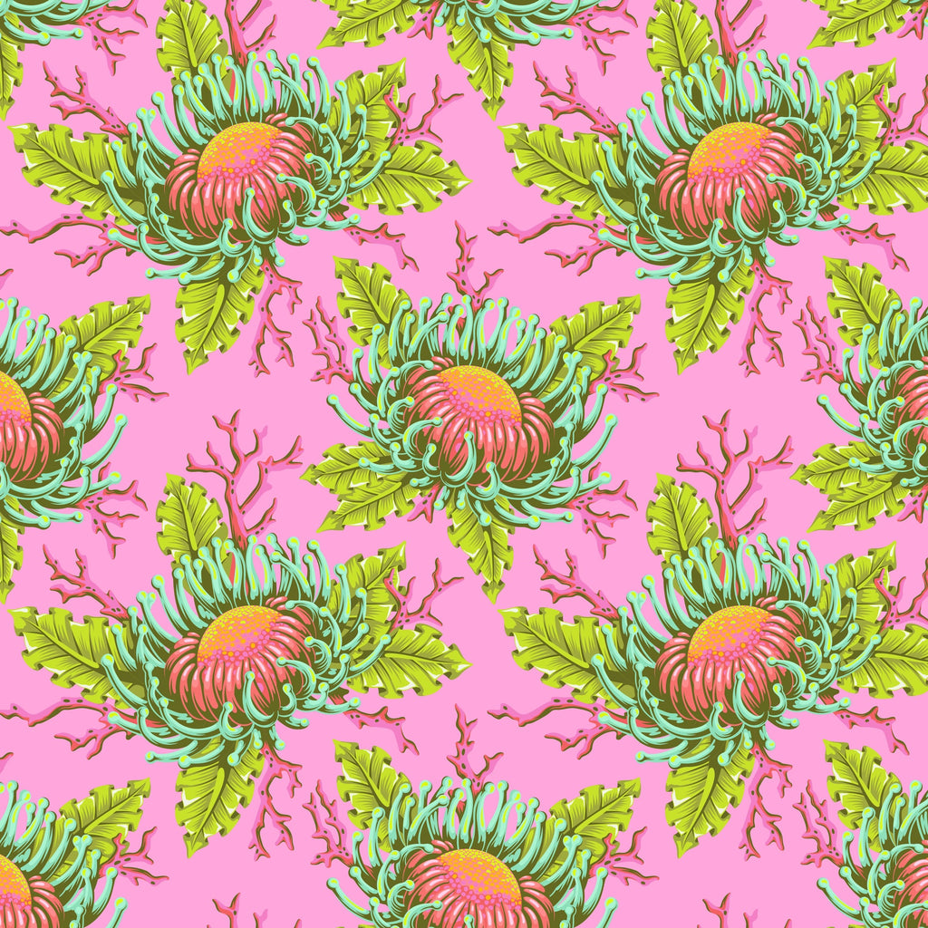 *Pre Order Floral Reef PWTP265.CORALLINE Friends & Anemones.Priced per 25 Cm. Due April/May