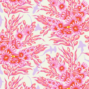 *Pre Order Floral Reef PWTP267.DELPHINE Shadow Sharks.Priced per 25 Cm. Due April/May