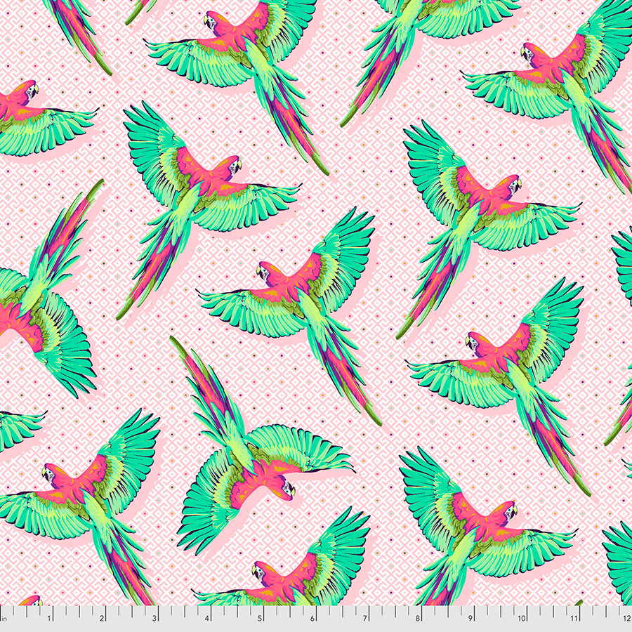 DAYDREAMER Macaw Ya Later DRAGONFRUIT PWTP170. Priced per 25cm.Tula Pink