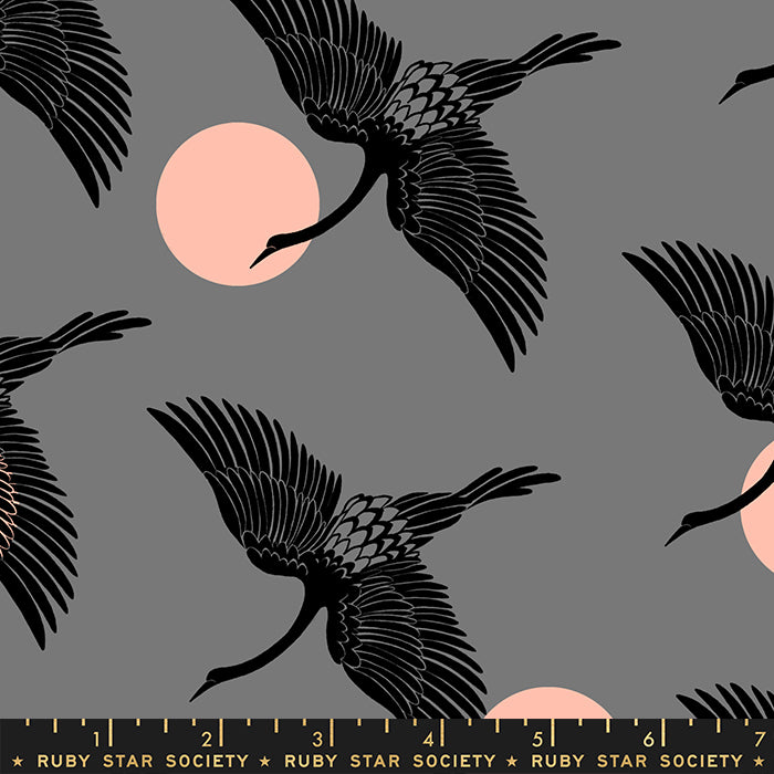 Florida Egrets Slate Gray RS2023 13.Priced per 25cm..