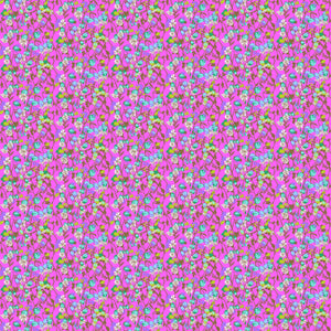 Silene Fuchsia