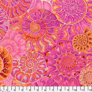 KFC Ammonites PINK PWPJ128 AUG 2024.Priced per 25cm*