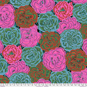 KFC Picotee Carnations DARK PWPJ133 Aug 2025 Priced per 25cm