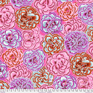 KFC Picotee Carnations PINK PWPJ133 Aug 2025 Priced per 25cm