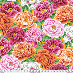 KFC Tibetan Poppy WARM PWPJ136 Aug 2025 Priced per 25cm