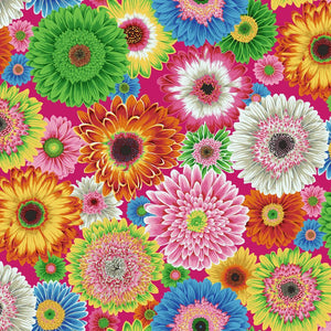 KFC Gerbera Daisies BRIGHT PWPJ139 Aug 2026 Priced per 25cm