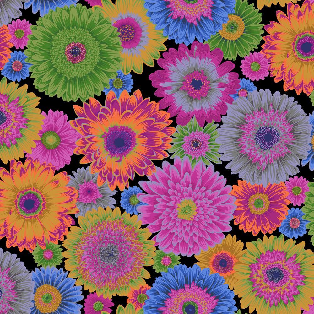 KFC Gerbera Daisies DARK PWPJ139 Aug 2026 Priced per 25cm