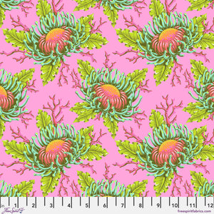 *Pre Order Floral Reef PWTP265.CORALLINE Friends & Anemones.Priced per 25 Cm. Due April/May