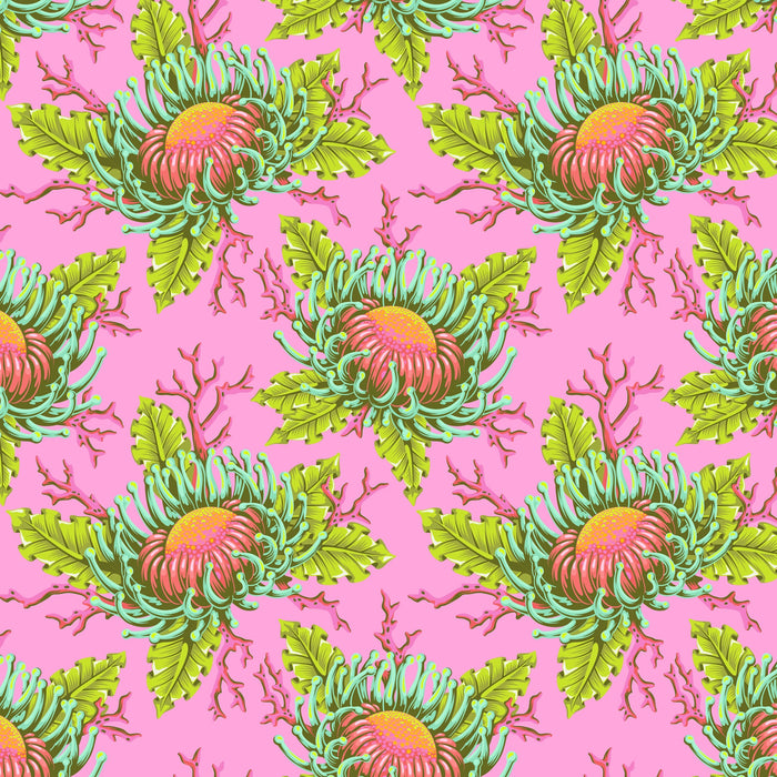 *Pre Order Floral Reef PWTP265.CORALLINE Friends & Anemones.Priced per 25 Cm. Due April/May
