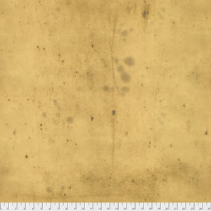 Provisions - AMBER by Tim Holtz PWTH115.Priced per 25cm